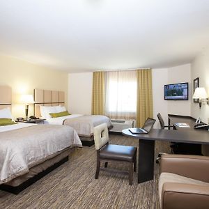Studio Suite Two Queen Beds